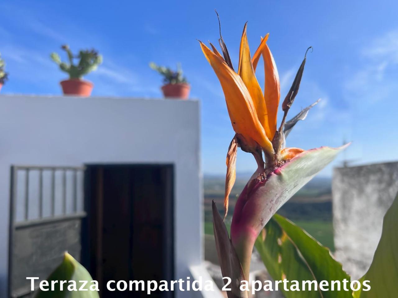 Casa Abades Arcos De La Frontera 아파트 외부 사진
